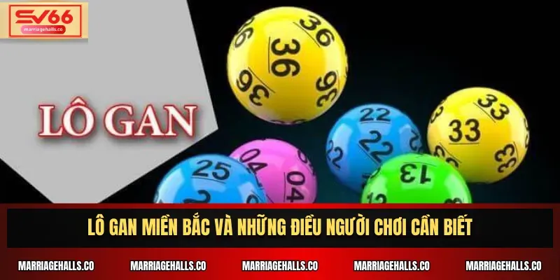 Five88 Live – Hệ thống thanh toán chuyên nghiệp - Five88