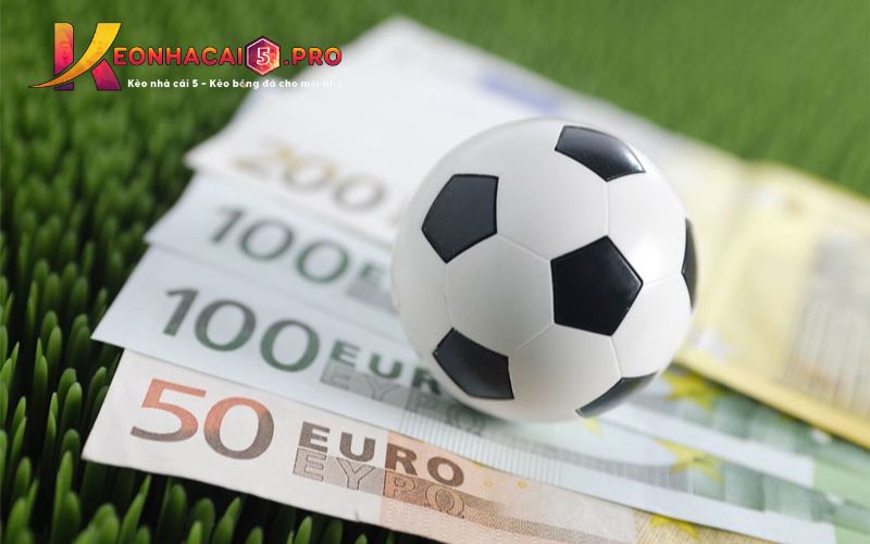Sau đây là tổng quan về các hoạt động quảng bá hiện tại của Five88 - Five88